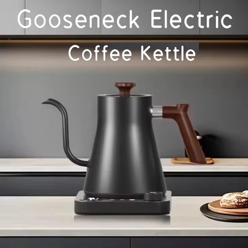 Electric Drip Coffee Kettle
