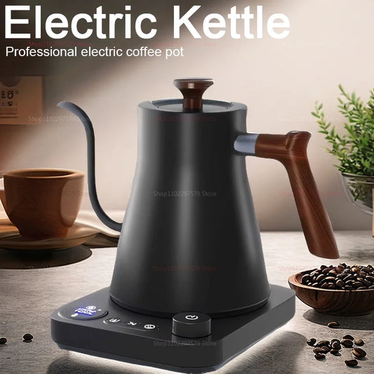 Electric Drip Coffee Kettle