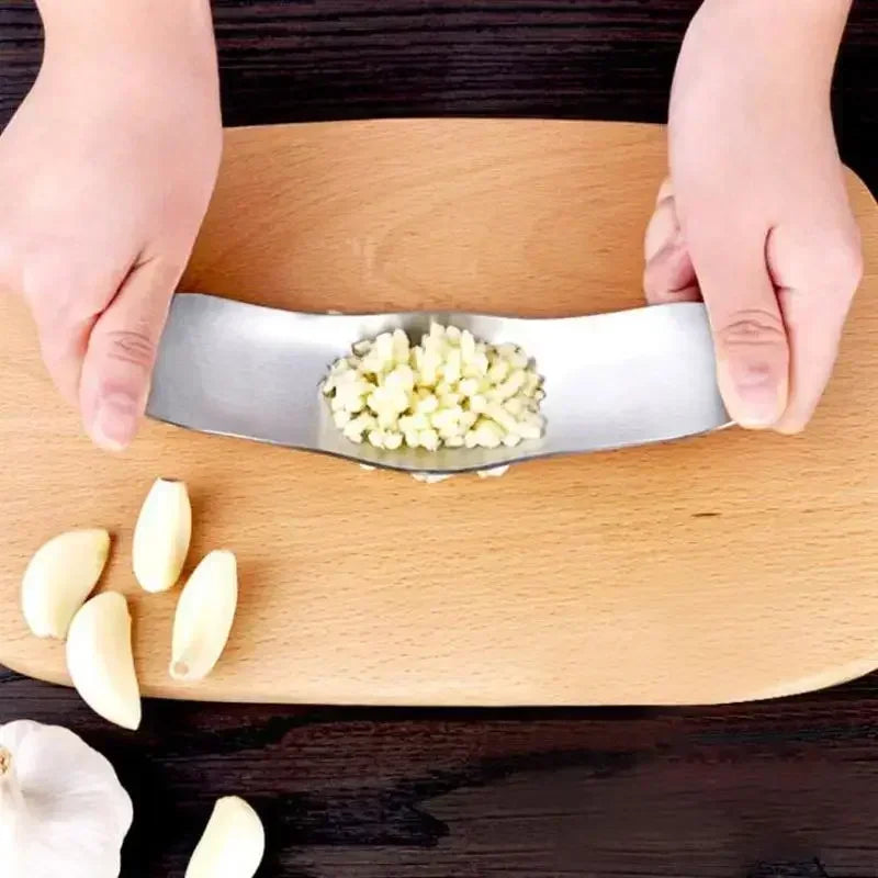 Gadgets Stainless Steel Garlic Press