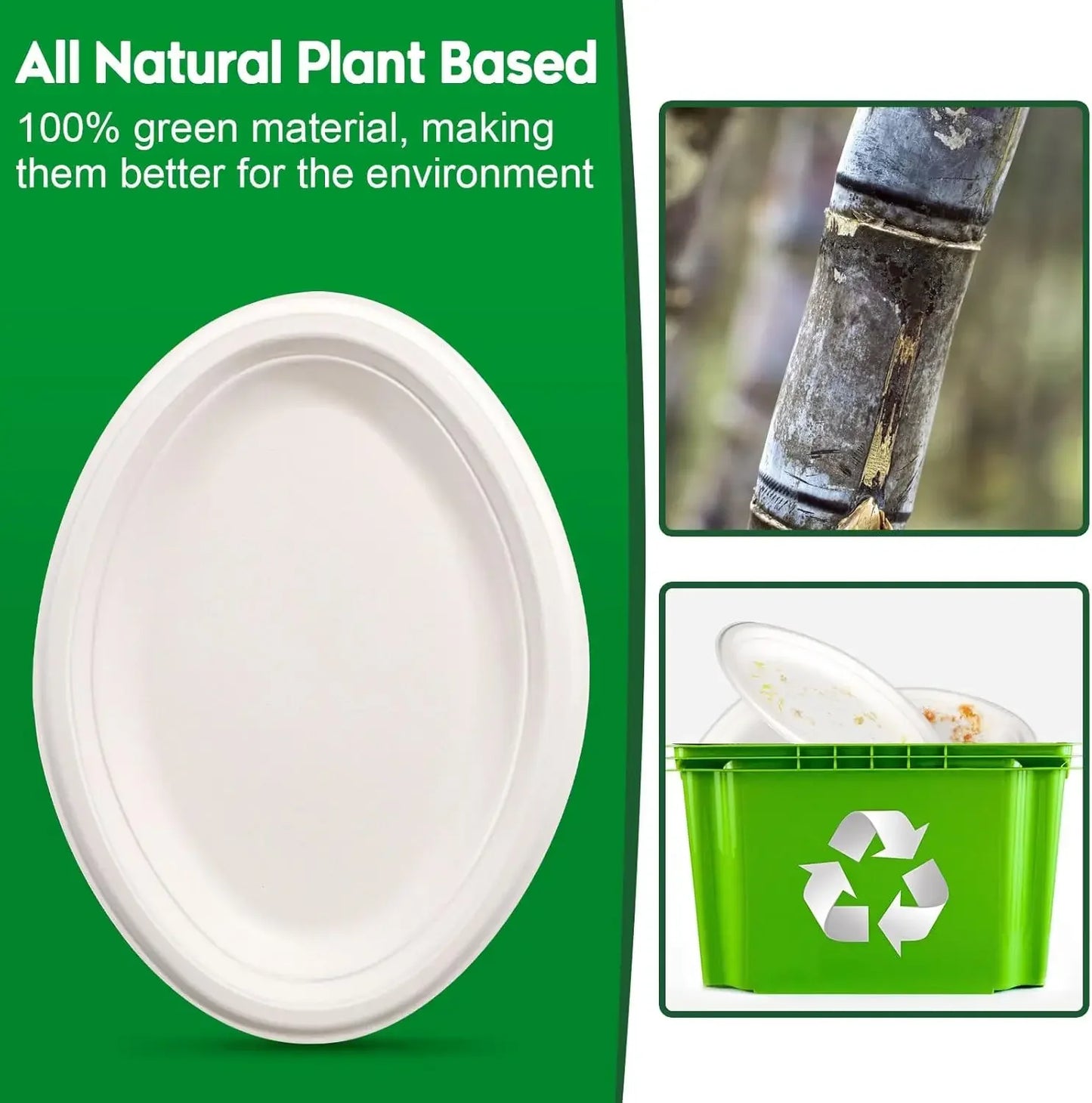 compostable paper plates nearby