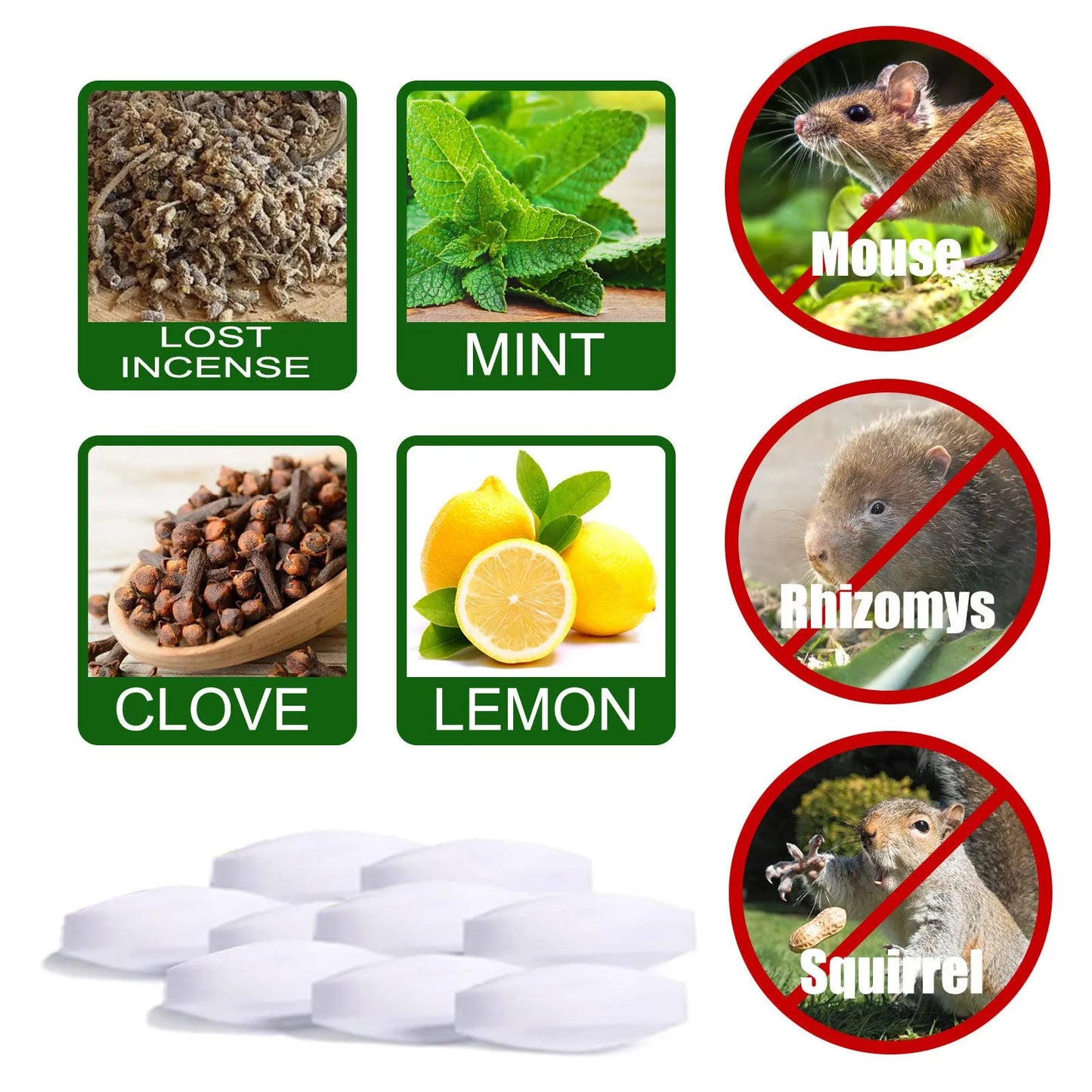 Keep Mice Out For House  Peppermint Oil For Mice And Rats Mouse Squirrel  For Home Garages RV Closets Trucks Car Engines 1 Box