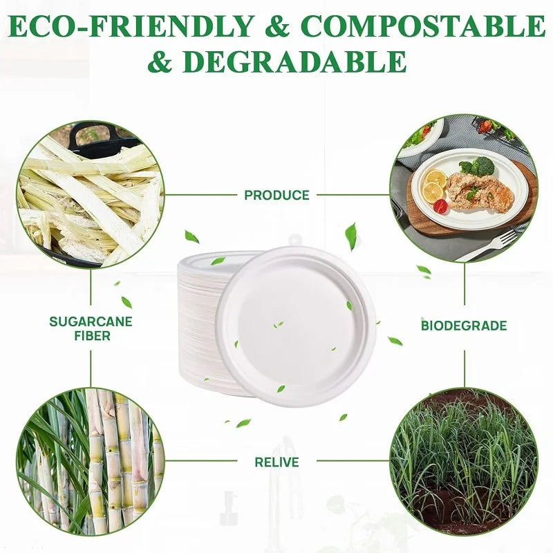 Compostable Plates Heavy-Duty